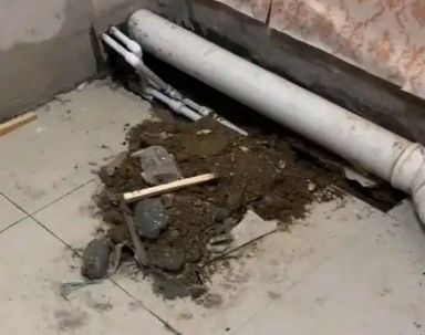 吉木乃卫生间漏水检测哪家好